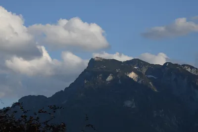 DSC_6055 (Large).JPG